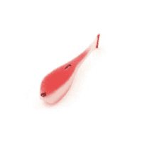 image - 2025-04-08T142114.512