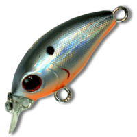 vobler_kosadaka_roger_midi_gt_m