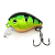 image - 2025-10-15T110510.384