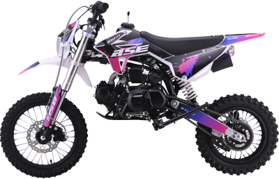BSE_EVO110_2026_shock_4