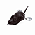 image - 2025-10-17T170603.105