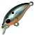 vobler_kosadaka_roger_midi_gt_m