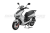 RM000441842.4 RM000441842.4