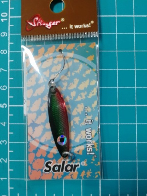 IMG_20251206_105910