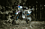 BZ5LKB015HPE1-1